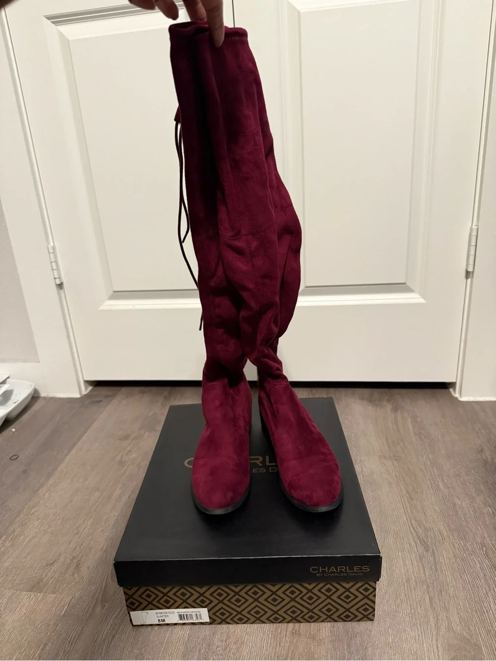 Charles by Charles David over the knee boots